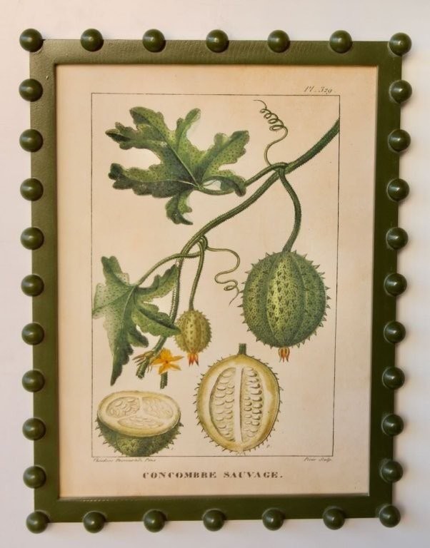 Fruit Picture Green Bobble Frame